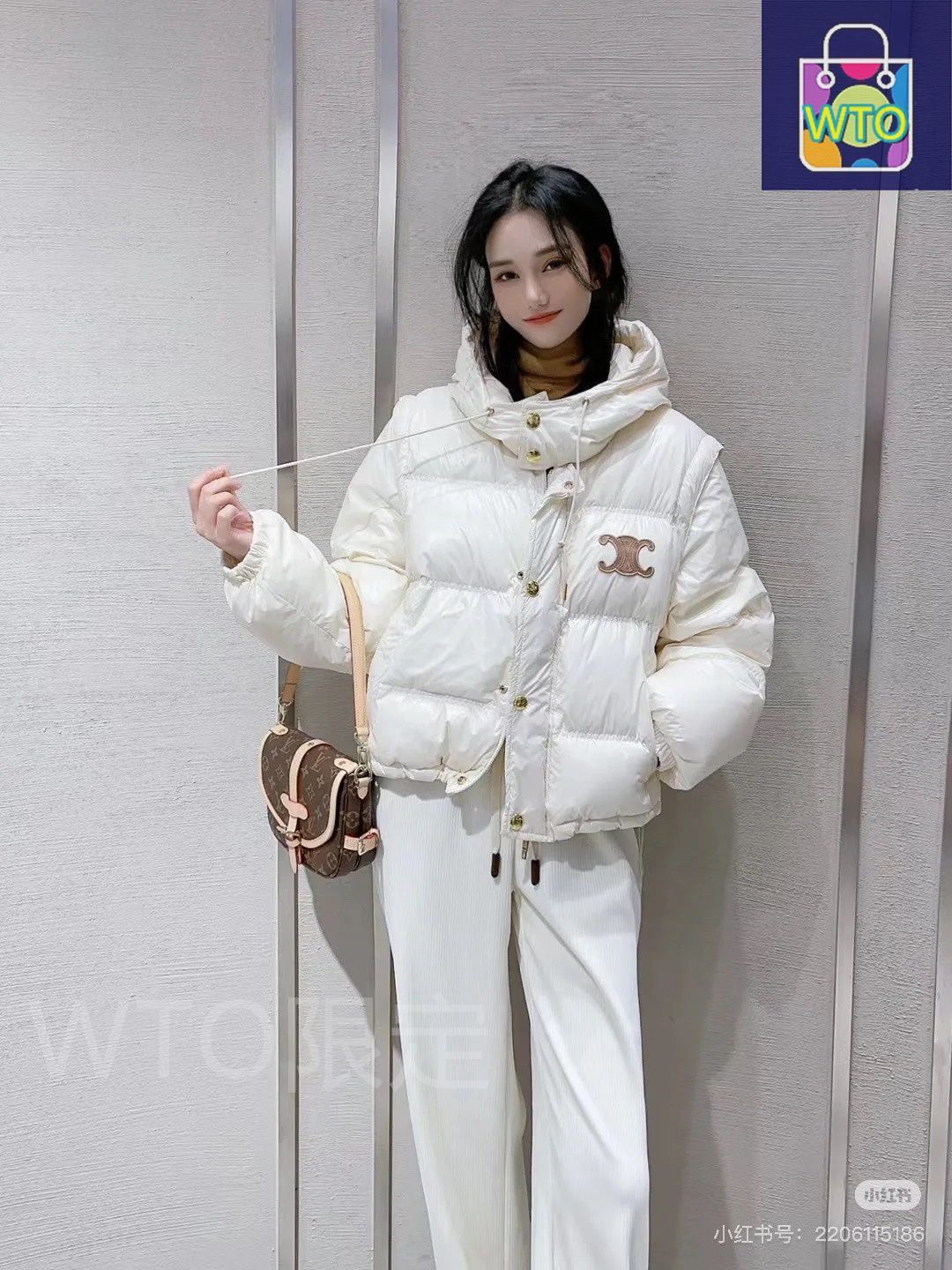 今日特価】Celine セリーヌ トライウィングダウンジャケット 袖