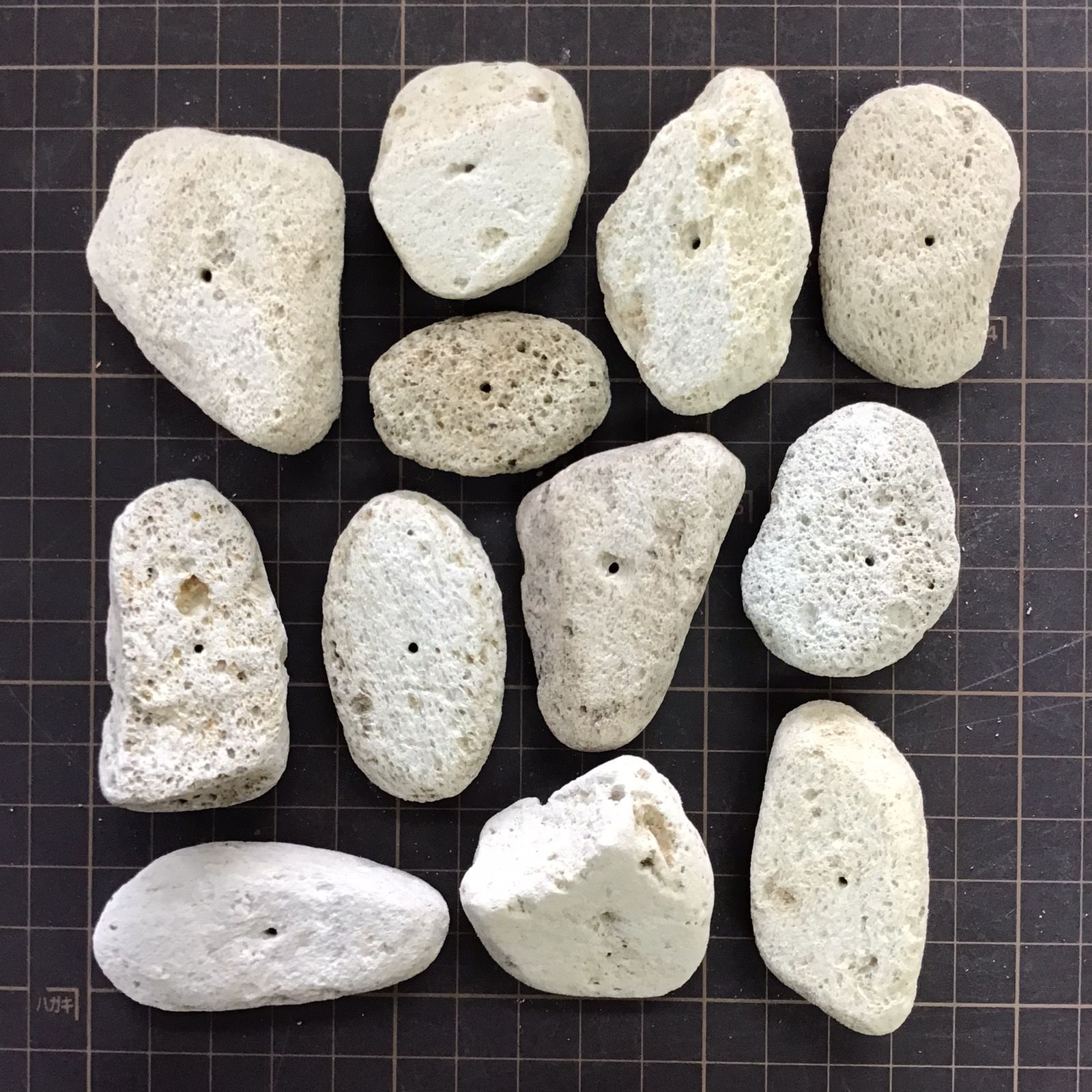 オーダー専用軽石鉢 オーダー専用軽石鉢 軽石 鉢」の人気商品一覧 | 安い商品を通販サイト