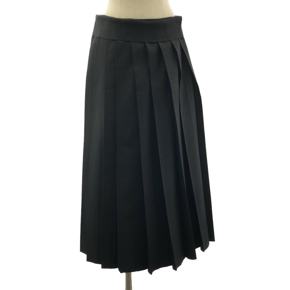 COMME des GARCONS / コムデギャルソン | レイヤード プリーツ ロングスカート | ブラック | レディース