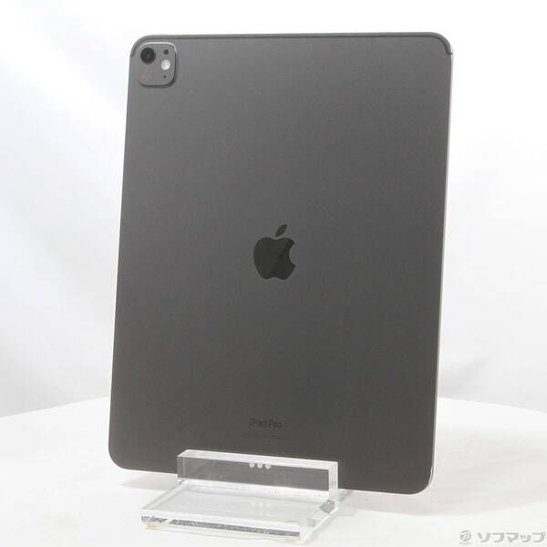 中古品〕 iPad Pro 13インチ 第1世代 標準ガラス 256GB スペース