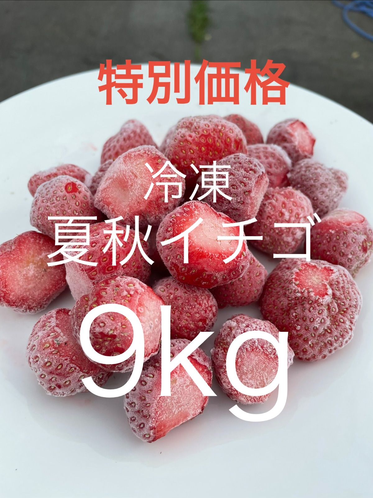 食品 [冷凍]夏秋いちご9kg
