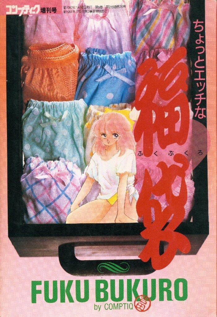 富士見書房 ちょっとエッチな福袋コンプティーク増刊号(中綴じ開封