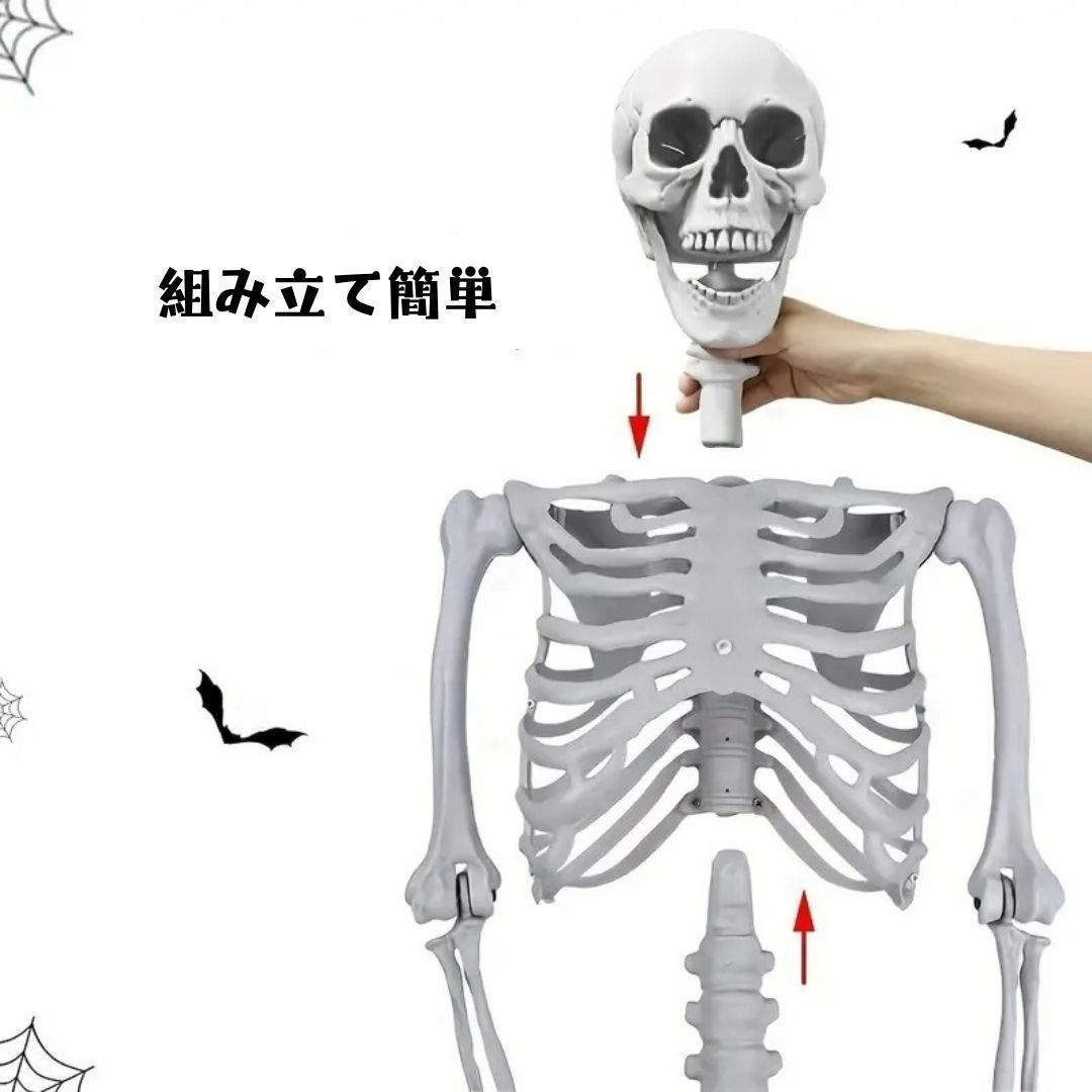  置物 オブジェ 骸骨 ガイコツ ドクロ スケルトン 全身 標本 等身大 165cm ハロウィン ハロウィーン インテリア 装飾 パーティ 小物アクセサリー 置物 インテリア小物