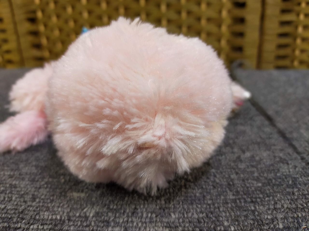 E27-20251121-01 【レア】モンチッチ 2010年発売 LOVE LOVE ピンク