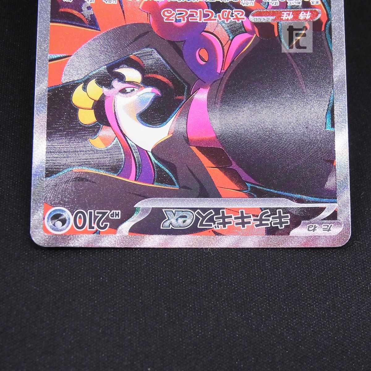 え*く様 キチキギス AR PSA10 最安値‼️ キチキギス PSA10 え*く様 キチキギス AR PSA10 最安値‼️ 状態A