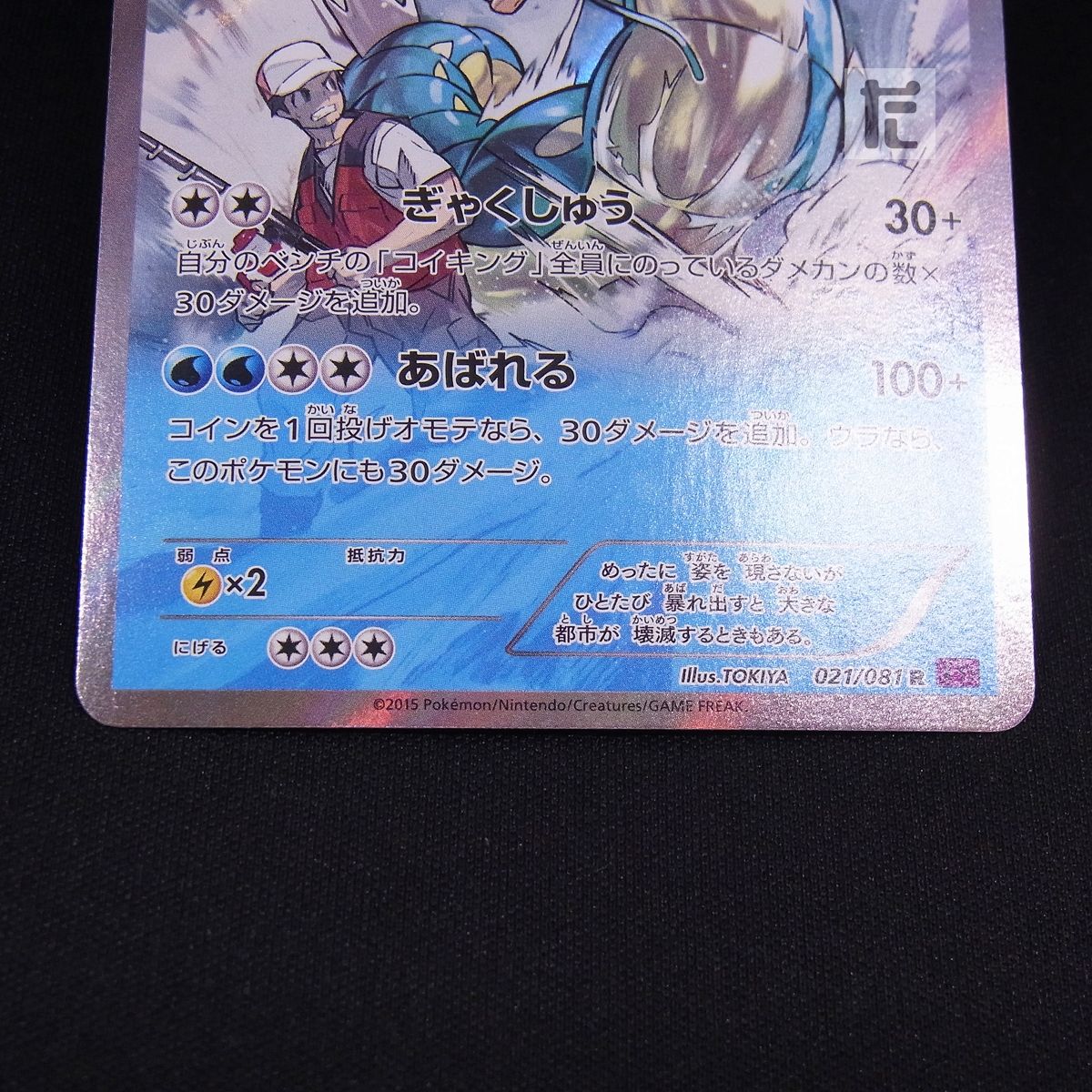 ポケモンカード xyまとめ売り ドグロックex ニンフィア 9枚セット