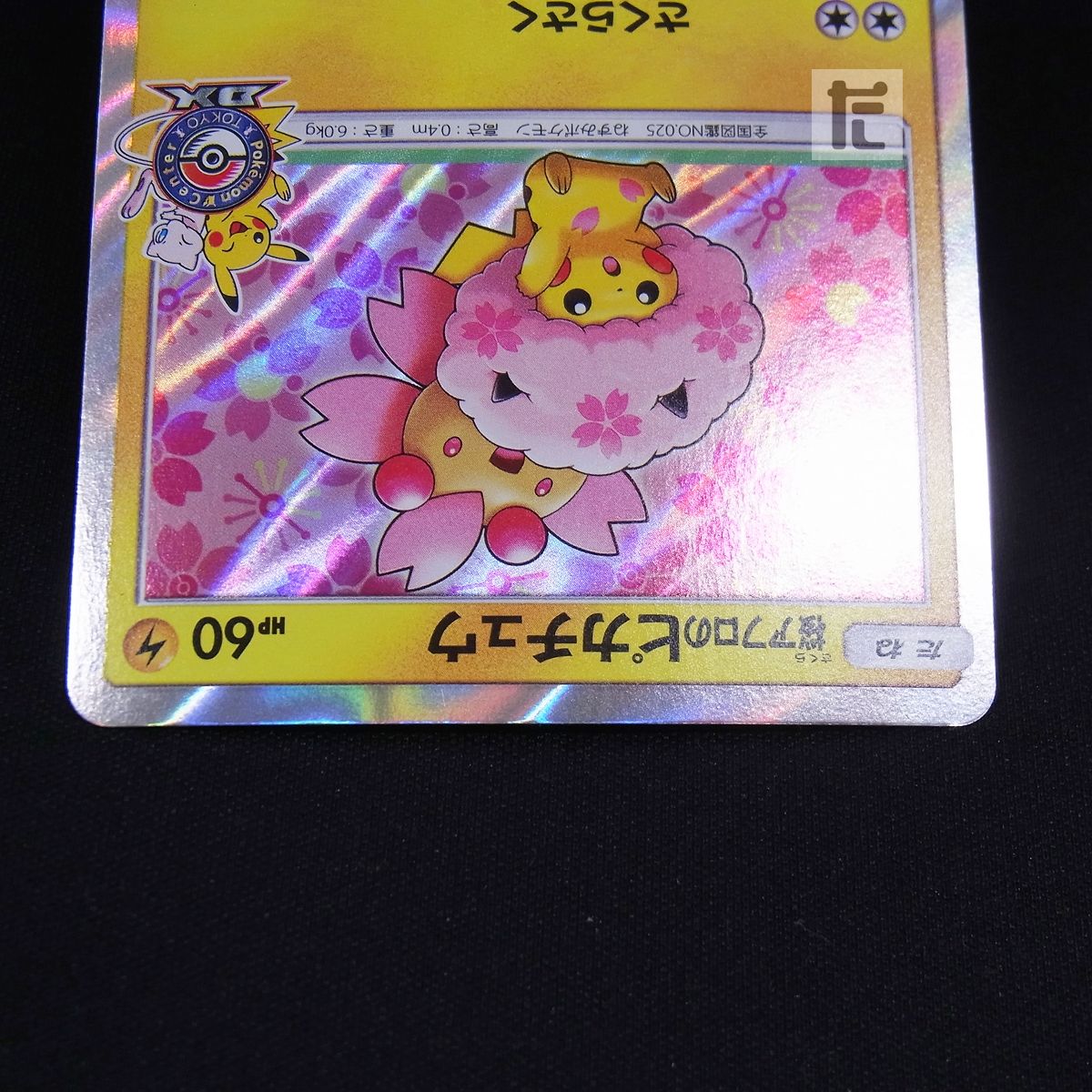 PROMO 桜アフロのピカチュウ 211/SM-P / TA23823 - メルカリ
