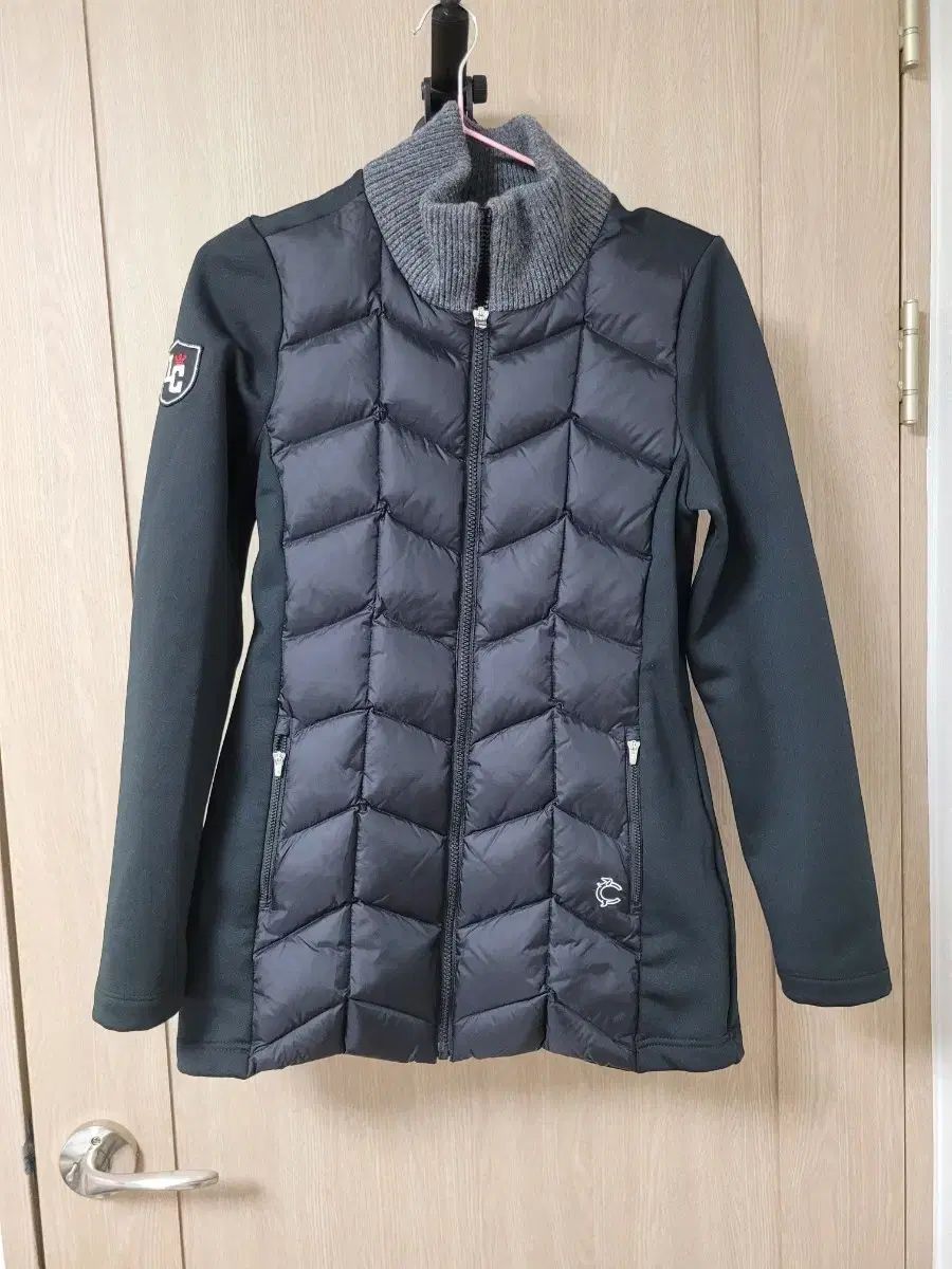 No.06/-TGK-r70330- / フィロデンドロン アタバポエンセ 斑入り