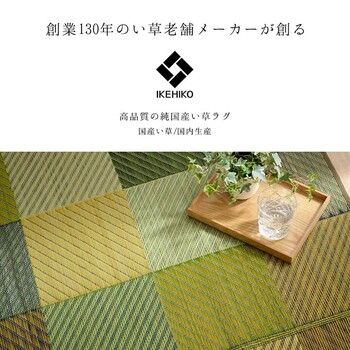 ラグ 純国産 国産 日本製 い草 抗菌防臭 自然素材 モダン DXカラフルブロック 約191×250cm