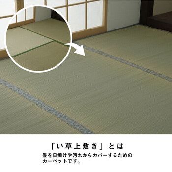 カーペット い草 上敷き カーペット 江戸間8畳(約352×352cm) 制菌 抗菌防臭