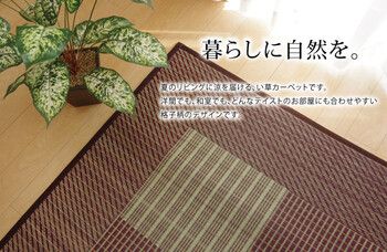 ラグ 純国産 い草ラグカーペット ブルー約191×250cm 格子柄シンプルモダン Fライト