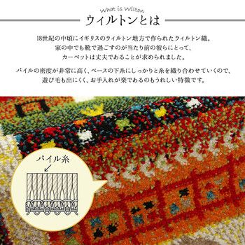 玄関マット 約60×90cm トルコ ウィルトン へたりにくい ギャベ プラテリア 玄関マット 4550317068089