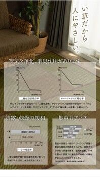 花ござ カーペット い草ラグ ラグ い草 3畳 江戸間3畳 市松柄 江戸間 174×261cm 約174×261cm 裏 紋織 三条 （ の