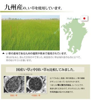 日本製 い草上敷 本間6畳（286×382cm） 松 まつ 上敷き い草 カーペット メーカー直送品送料無料い草 水と 純国産い草上敷きカーペット「松」本間６畳