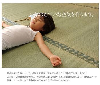 日本製 い草上敷 本間6畳（286×382cm） 松 まつ 上敷き い草 カーペット メーカー直送品送料無料い草 水と 純国産い草上敷きカーペット「松」本間６畳