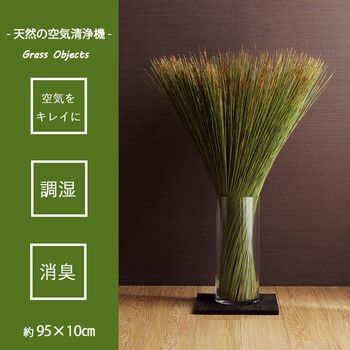 国産 日本製 い草 インテリア オブジェ 消臭 空気清浄 ナチュラル 植物 置物 95×10cm 畳のもと 4550317117725