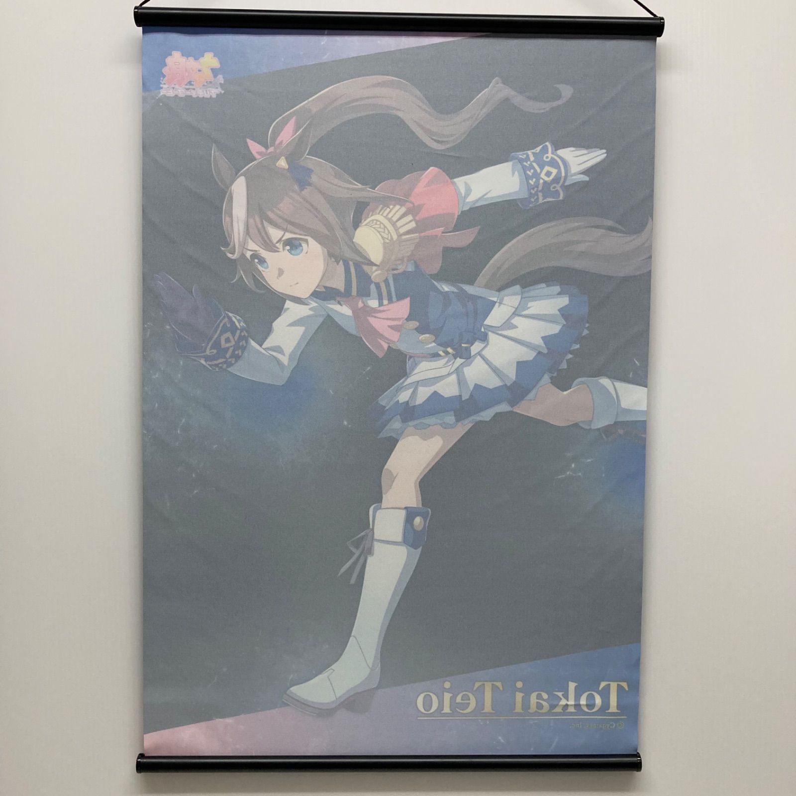 ウマ娘 プリティーダービー トウカイテイオー A2タペストリー 【公式通販】