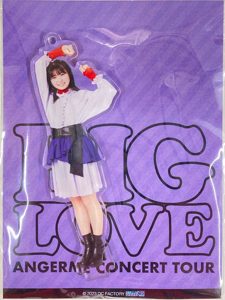 アンジュルム CONCERT TOUR BIG LOVE 川名凛 ソロアクリルスタンド