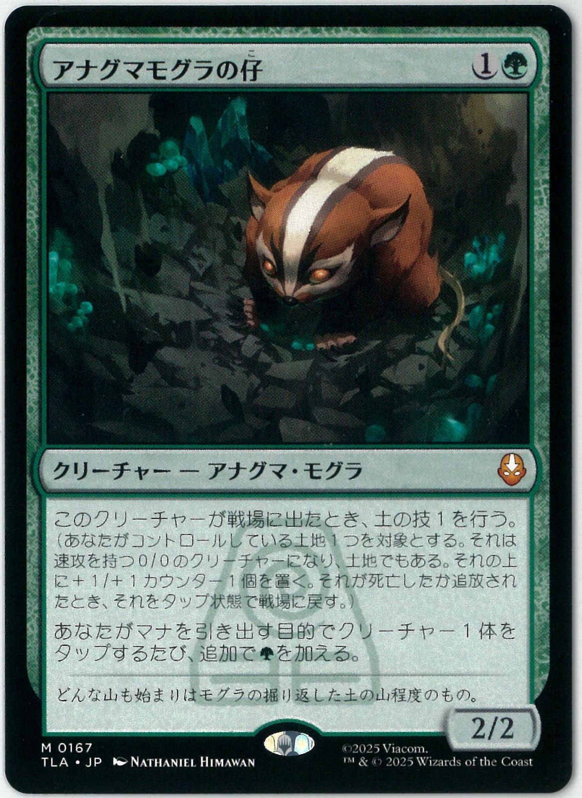 MTG アナグマモグラの仔 英語　2枚セット FOIL] アナグマモグラの仔/Badgermole Cub (全面アート版) 【英語版