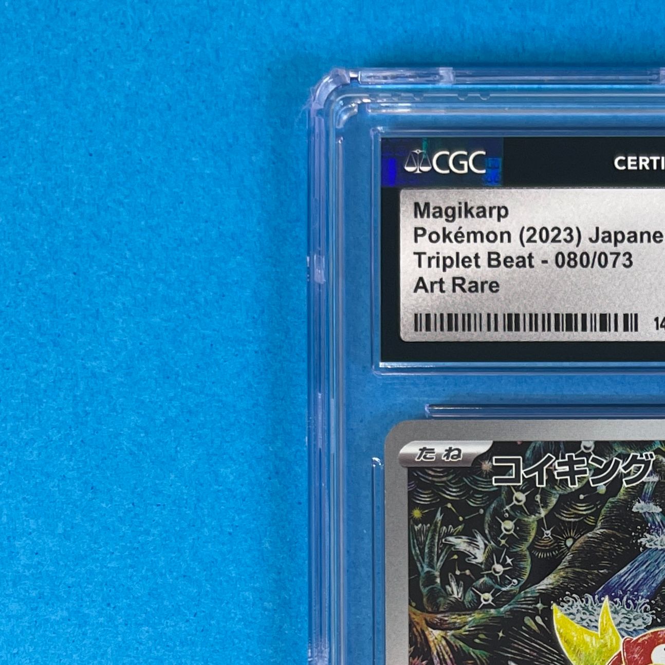 ポケカメイン販売 Amazon.co.jp: ポケモンカードゲームMEGA M2 拡張パック インフェルノX