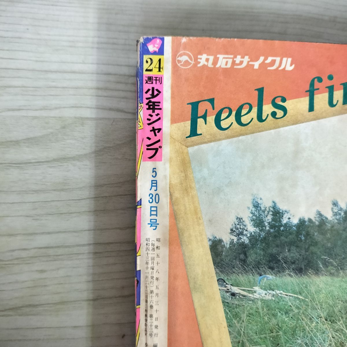 週刊少年ジャンプ 1983年5月30日号 昭和58年 24号 ストップひばりくん