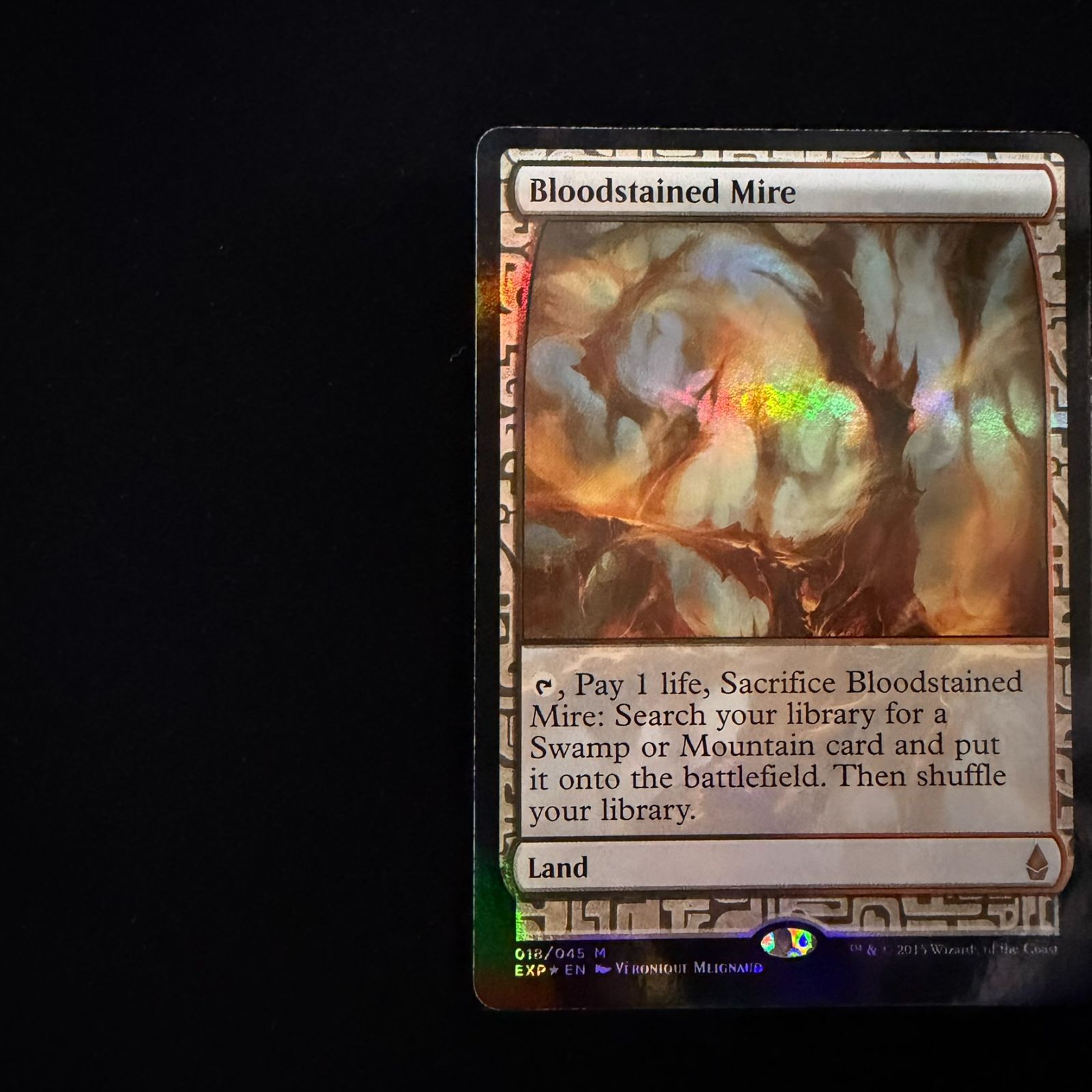 Bloodstained Mire血染めのぬかるみFOIL 018/045MTG - メルカリ