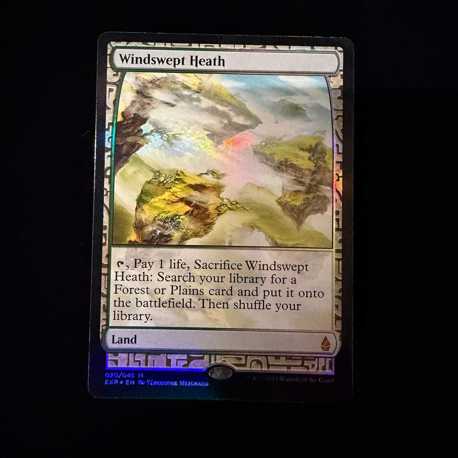 Windswept Heath 吹きさらしの荒野FOIL 020/045 MTG - メルカリ