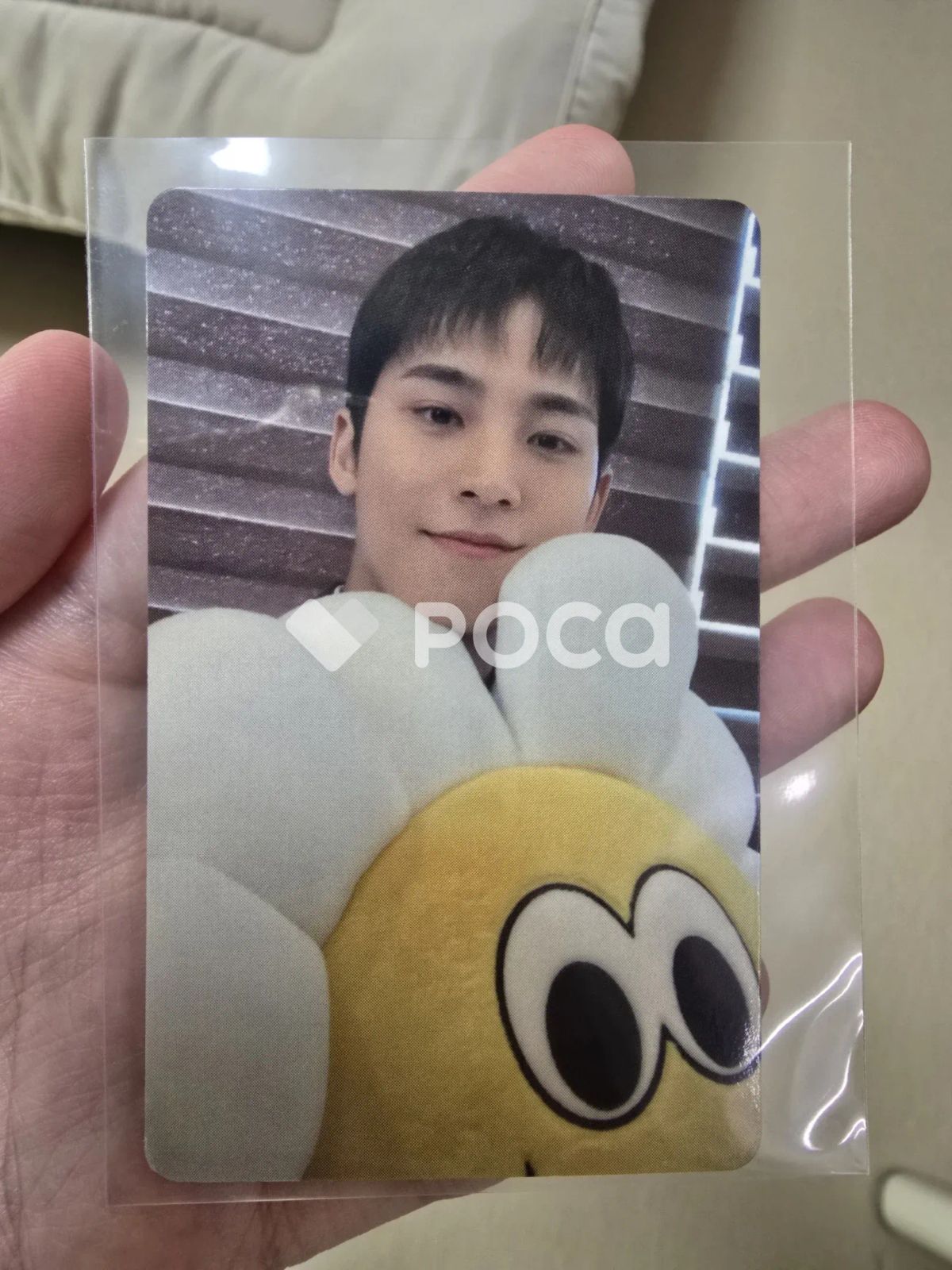 Seventeen ミンギュ セブチ SEVENTEEN TOUR FOLLOW AGAIN TO INCHEON