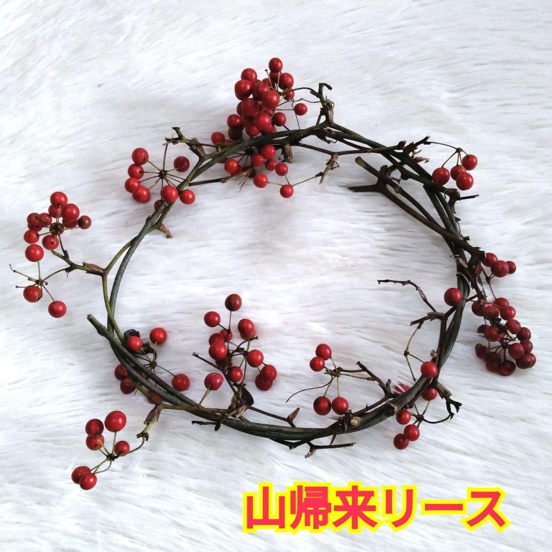 山帰来（サンキライ）リース☆自然素材☆直径約30cm☆赤い実