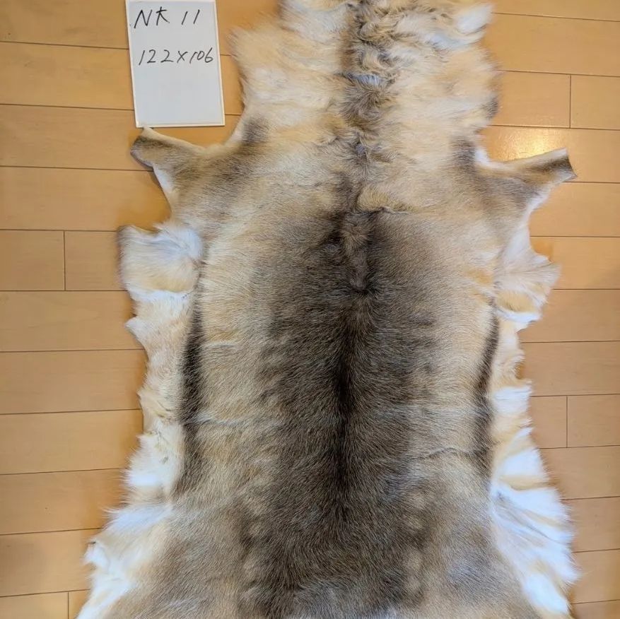 【希少品】 トナカイ 毛皮 フィンランド ラップランド Reindeer 極上 希少品】 トナカイ 毛皮 フィンランド ラップランド Reindeer 極上