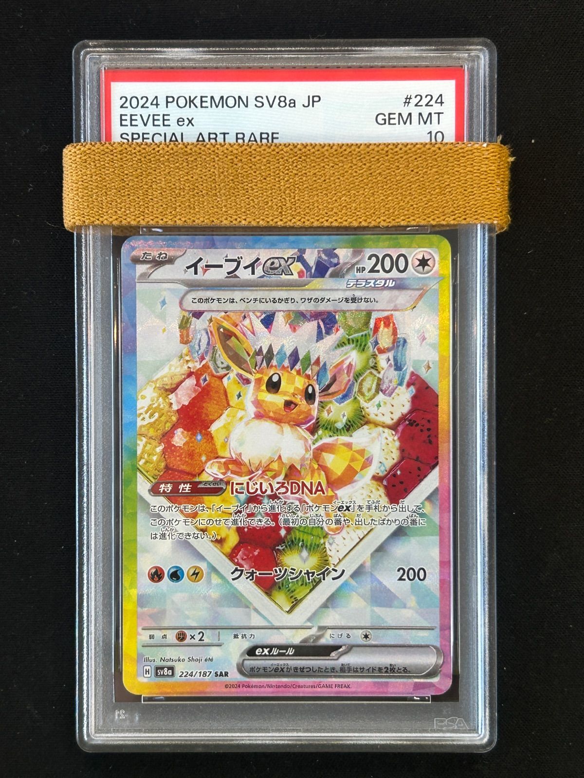 【ALL PSA10】 10枚セット テラスタルフェスex イーブイズ　SAR PSA10 イーブイex 224/187 SAR テラスタルフェスex - メルカリ