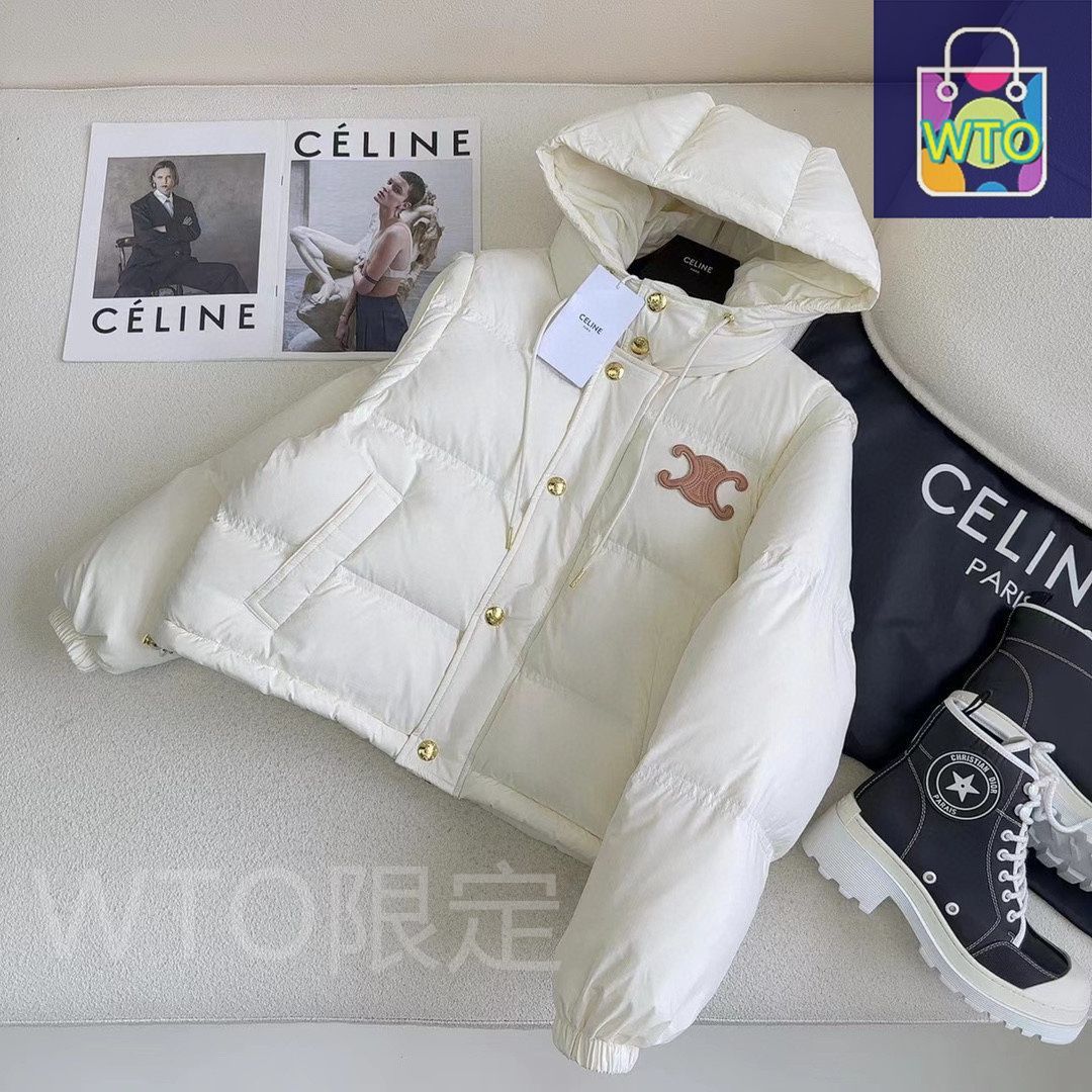 今日特価】Celine セリーヌ トライウィングダウンジャケット 袖
