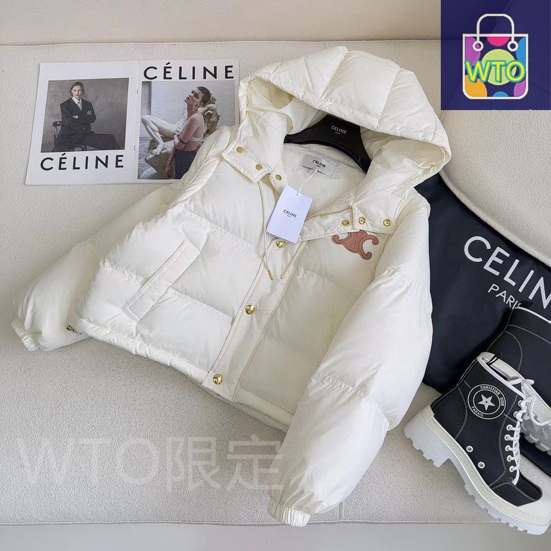 今日特価】Celine セリーヌ トライウィングダウンジャケット 袖