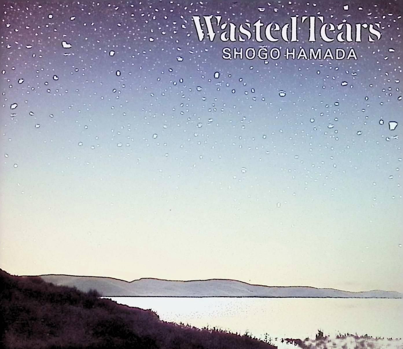 WASTED TEARS / 浜田 省吾 (CD) - メルカリ