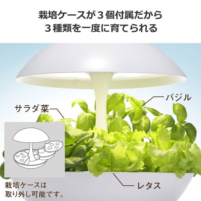 苗 MotoM LED水耕栽培器「灯菜（アカリーナ）Akarina01 RN」 元箱