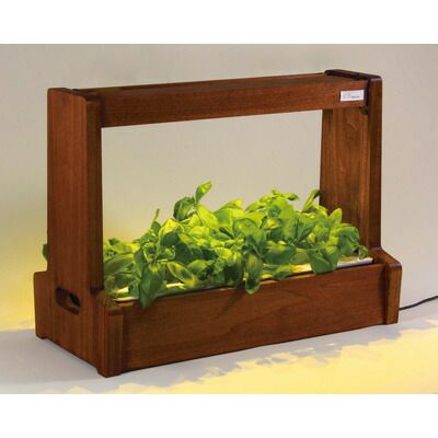 小売業者 【新品】LED水耕栽培 植物育成器 灯菜（アカリーナ） 野菜