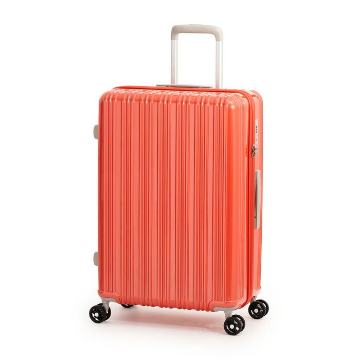 アクリル製 バードキャリー アクリル製 バードキャリー 楽天市場】【5H限定豪華プレゼント｜11/7