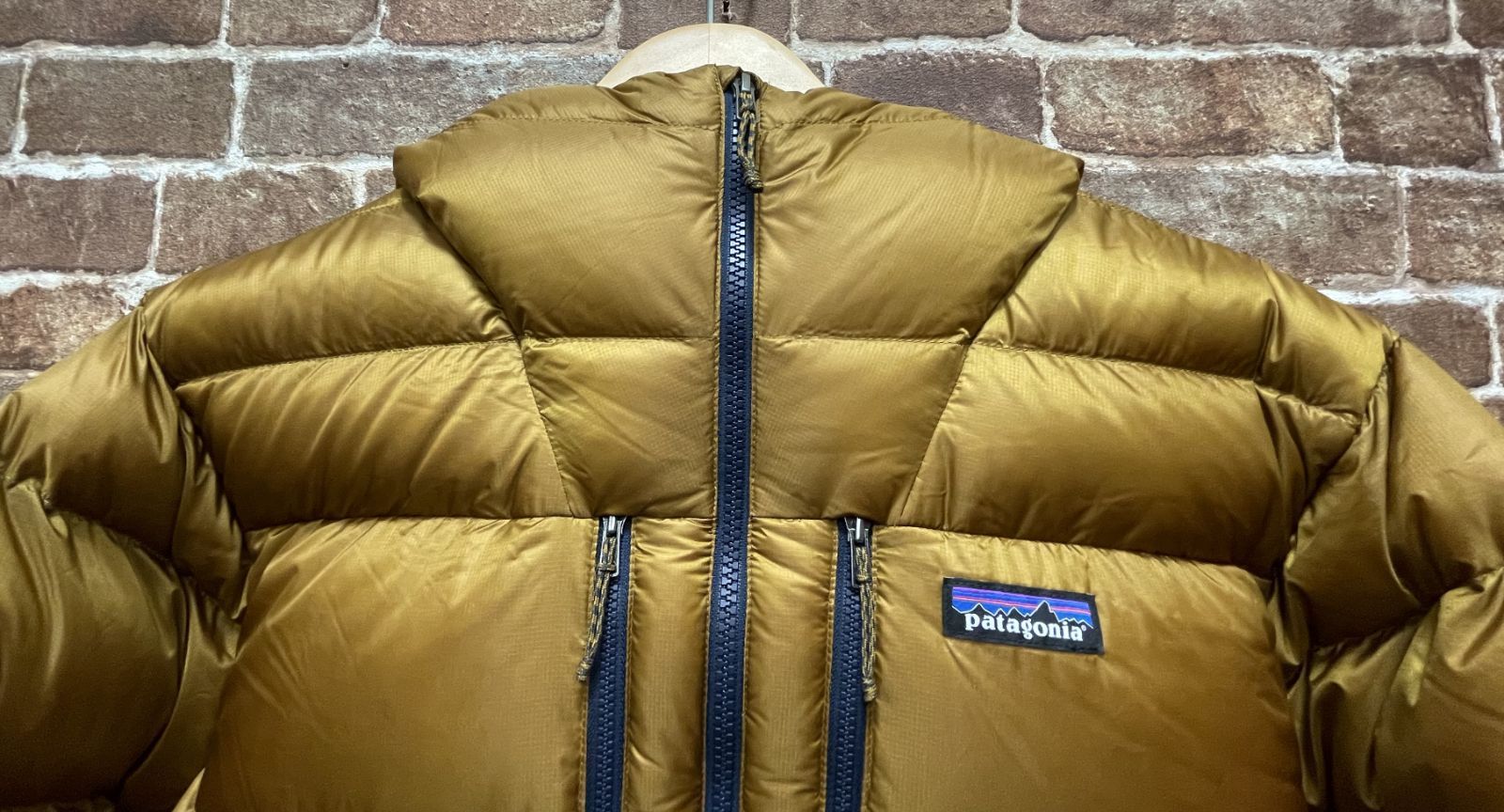 完売品 Patagonia Fitz Roy Down Hoody Raptor Brown MEN