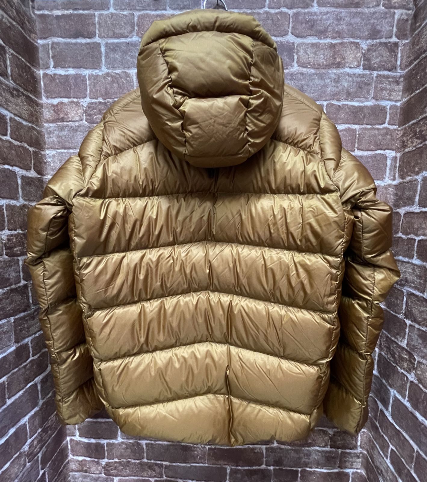 完売品 Patagonia Fitz Roy Down Hoody Raptor Brown MEN