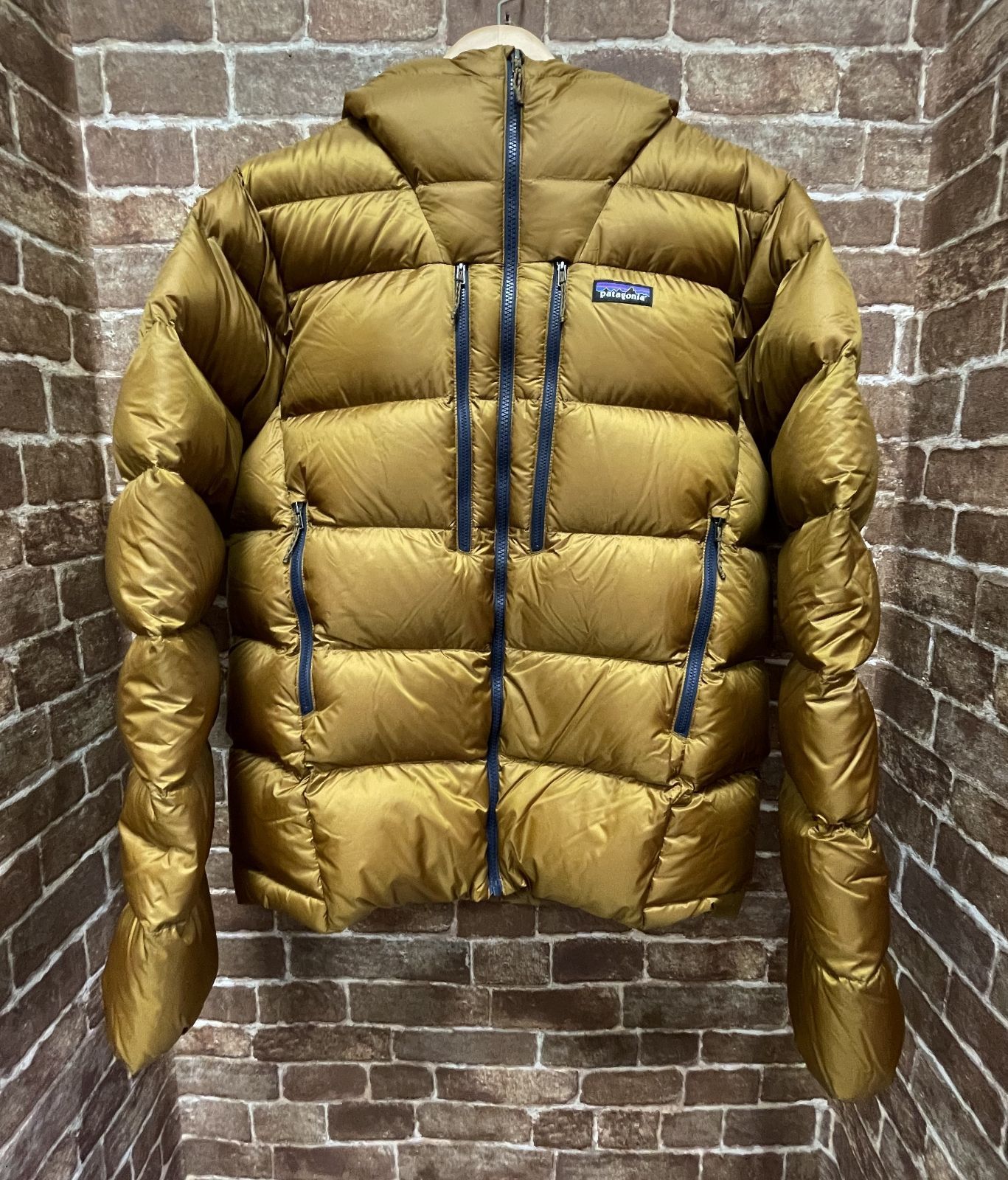 完売品 Patagonia Fitz Roy Down Hoody Raptor Brown MEN