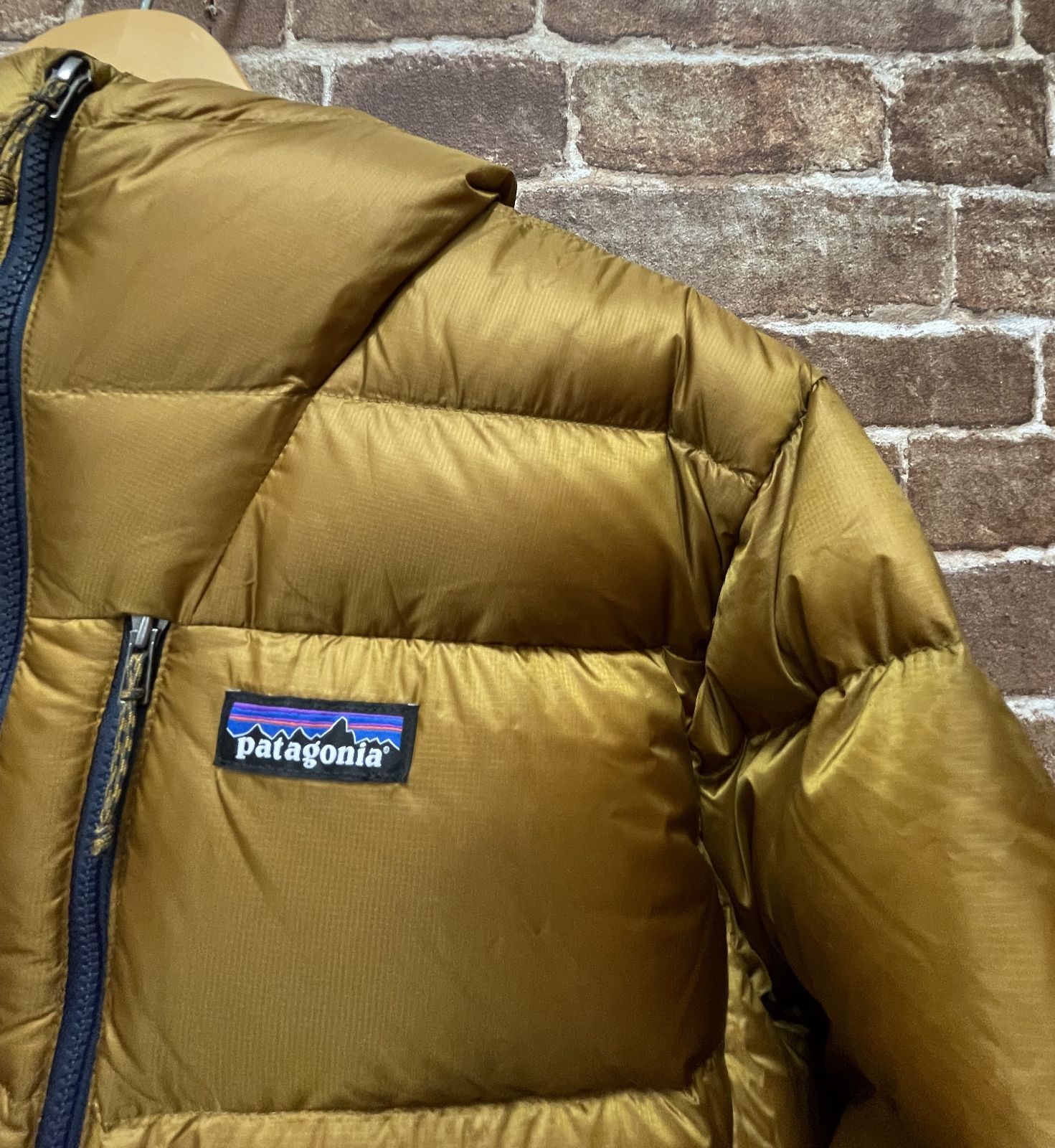 完売品 Patagonia Fitz Roy Down Hoody Raptor Brown MEN