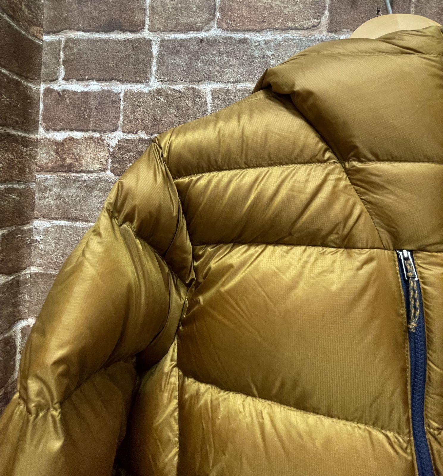 完売品 Patagonia Fitz Roy Down Hoody Raptor Brown MEN