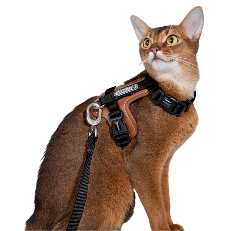 ルチルクォーツ】大和厳選！霊力エネルギーかなりいれてます！