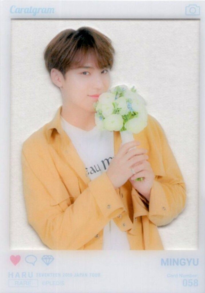 SEVENTEEN 2019 HARU MINGYU トレーディングカード 0058 - メルカリ