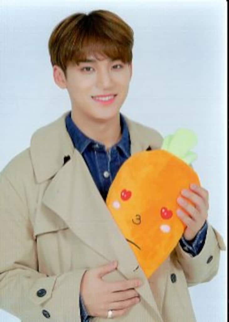 SEVENTEEN 2019 HARU MINGYU トレーディングカード 0110 - メルカリ