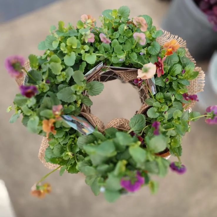 極美品】READYMADE レディメイド チャーム サメ 鮫