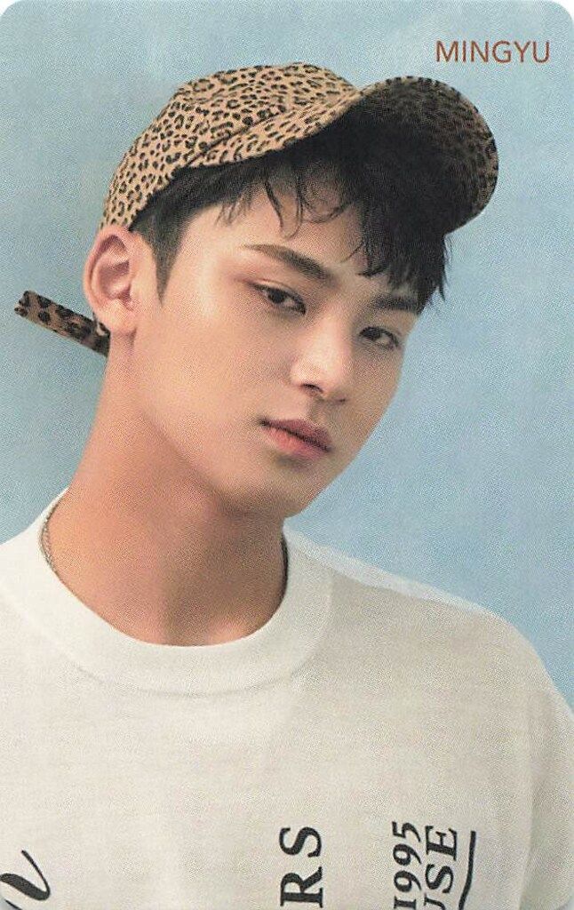 SEVENTEEN 舞い落ちる花びら MINGYU トレーディングカード Blue - メルカリ