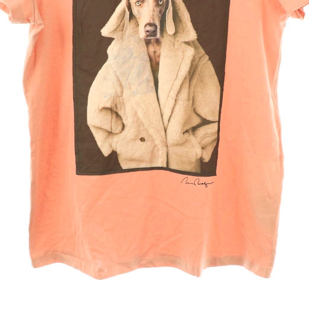 マックスマーラ MAX MARA 23年製 白タグ VALIDO ウェグマンプリントT