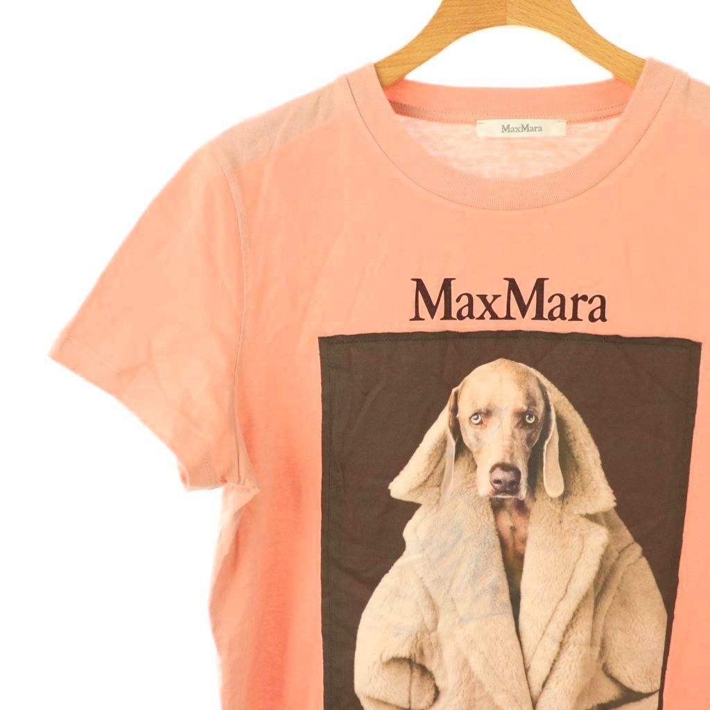 マックスマーラ MAX MARA Tシャツ VALIDO ウェグマンプリント　S マックスマーラ MAX MARA 23年製 白タグ VALIDO ウェグマンプリントT