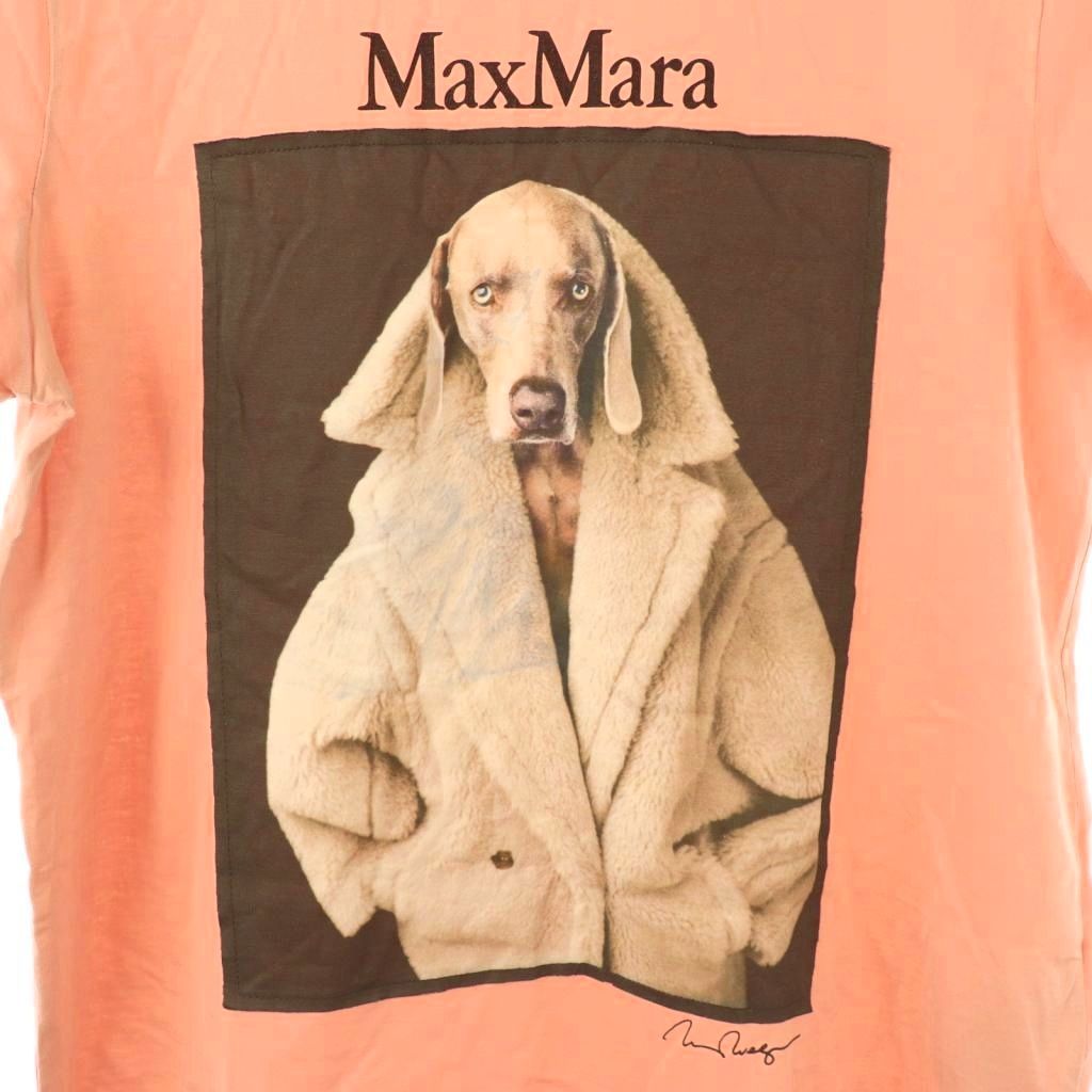 マックスマーラ MAX MARA Tシャツ VALIDO ウェグマンプリント　S マックスマーラ MAX MARA 23年製 白タグ VALIDO ウェグマンプリントT